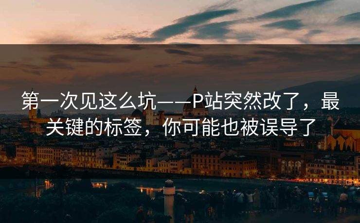 第一次见这么坑——P站突然改了,最关键的标签,你可能也被误导了 第一次见这么坑——P站突然改了,最关键的标签,你可能也被误导了
