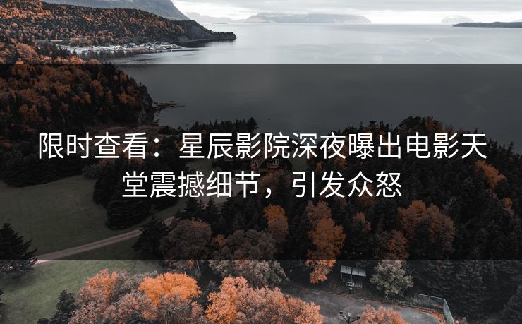 限时查看：星辰影院深夜曝出电影天堂震撼细节，引发众怒