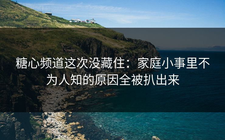 糖心频道这次没藏住：家庭小事里不为人知的原因全被扒出来