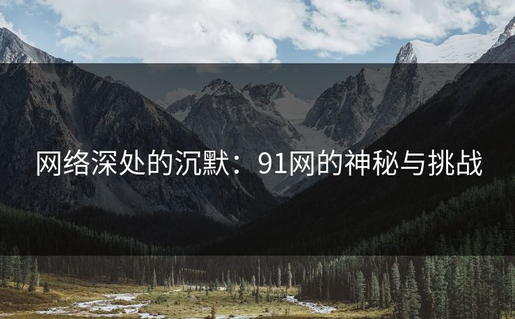网络深处的沉默：91网的神秘与挑战